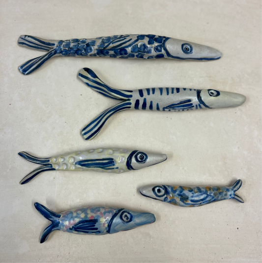 Pisci (fish) curiosity