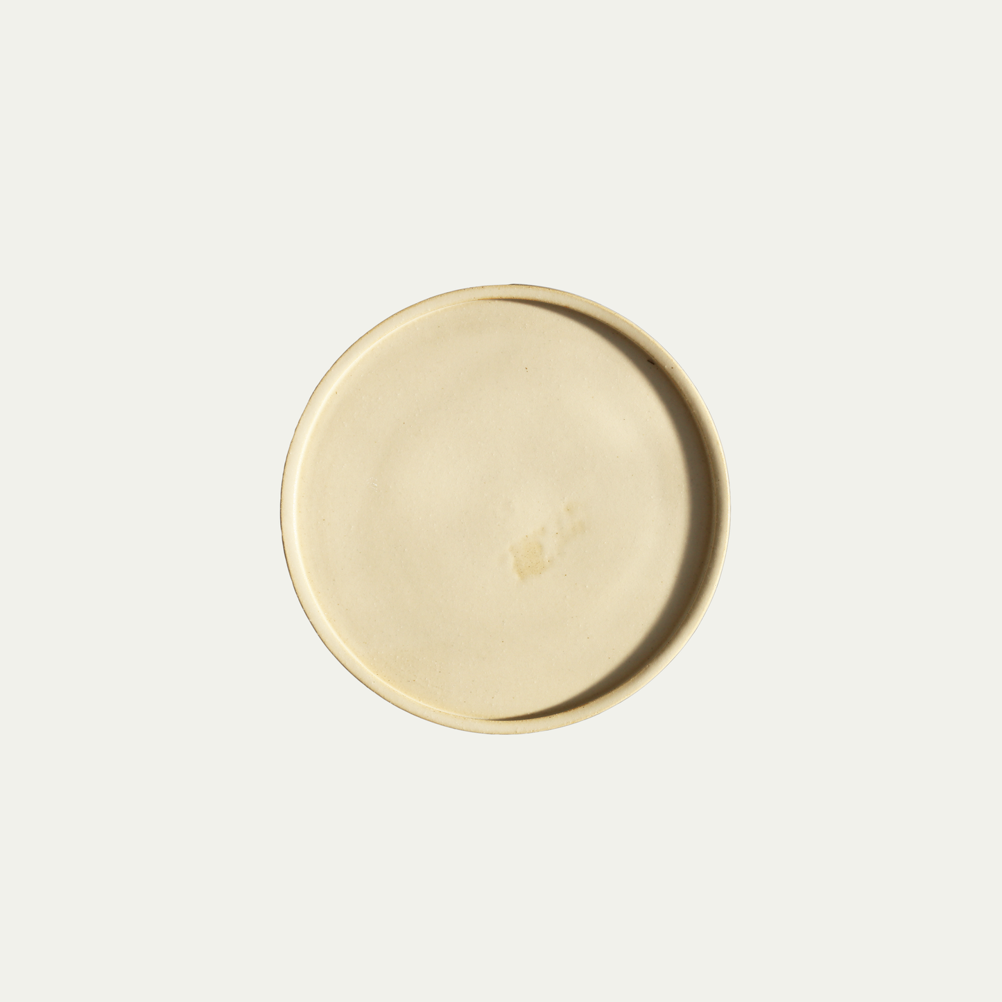 Matte White Plate