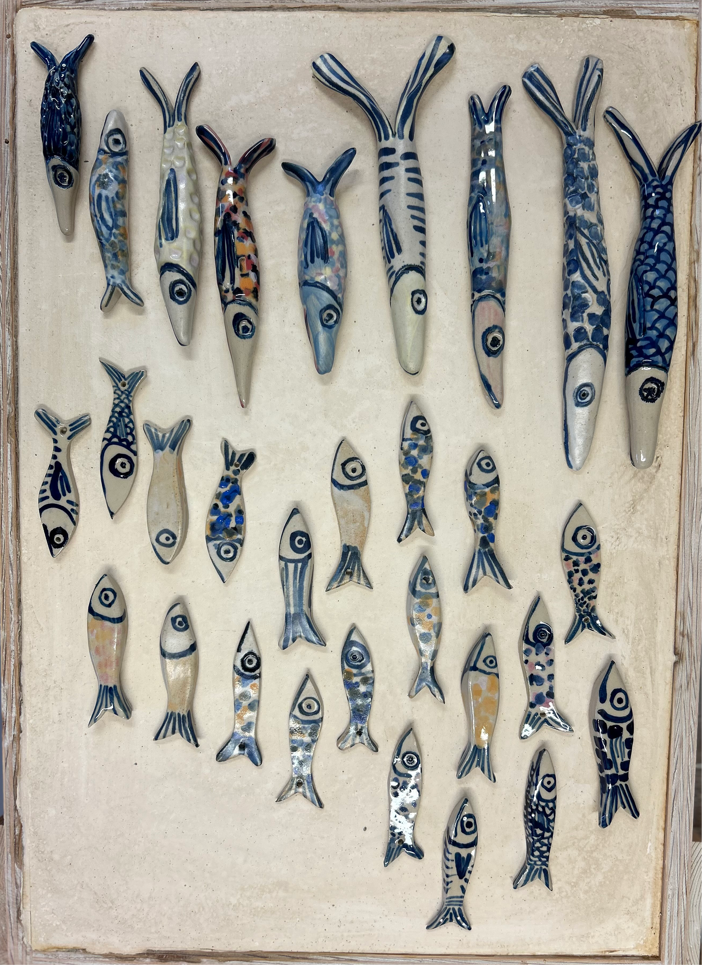 Pisci (fish) curiosity