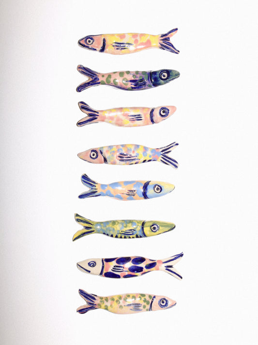 Coloured Pisci (fish) curiosity