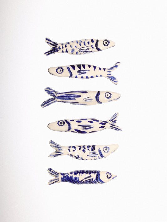 Pisci (fish) curiosity